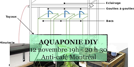 Aquaponie - DIY primary image