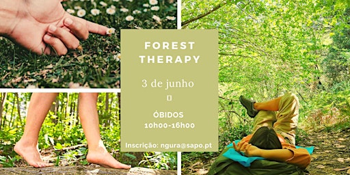 FOREST THERAPY primary image