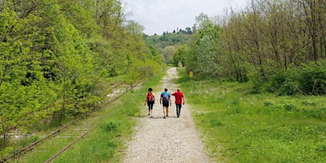 Il film "Va In Giro" arriva da voi a Saronno primary image