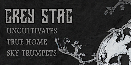 Dead Cult: Grey Stag // Uncultivates // True Home // Sky trumpets @ Freds primary image