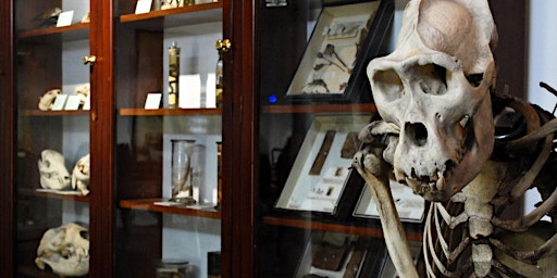 Imagen principal de D'Arcy Thompson Zoology Museum Friday Openings
