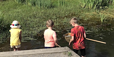 Immagine principale di Pond Dipping in Broadhurst Park 