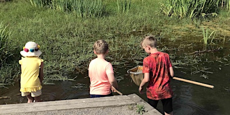 Pond Dipping in Broadhurst Park