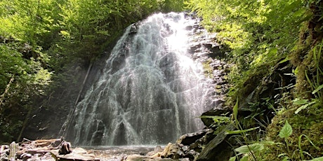 North Carolina-52 Hike Challenge SC Chapter-Crabtree Falls, NC primary image