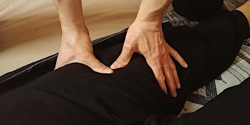 Immagine principale di Serata informativa gratuita sui corsi di Shiatsu e di Massaggio facciale 