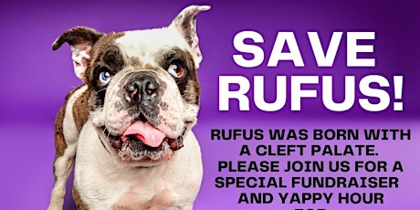 SAVE RUFUS! Yappy Hour and Fundraiser for Sayvanimals.org