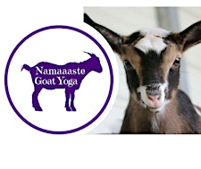 Organizer profile image