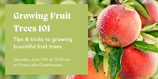 Growing Fruit Trees 101: Tips and Tricks to Growing Bountiful Fruit Trees primary image