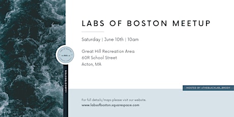 Labs of Boston Meetup