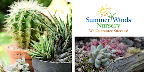 Growing Cactus and Succulents in the Bay Area - Novato