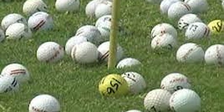2023 LIVE PAL 50/50 Golf Ball Drop & Golf Tournament Fundraiser - Win $5000