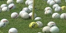 Immagine principale di 2023 LIVE PAL 50/50 Golf Ball Drop & Golf Tournament Fundraiser - Win $5000 