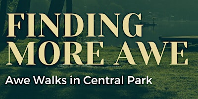 Image principale de "Awe Walks" in Central Park