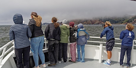Stewardship Saturday: Searching for Marine Life in the San Francisco Bay