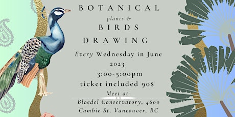 Botanical plants and Birds life drawing