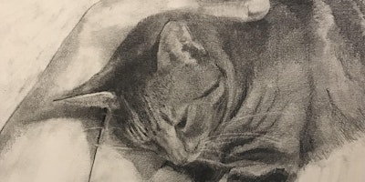 Drawing a Pet Portrait with Sarah Hunter