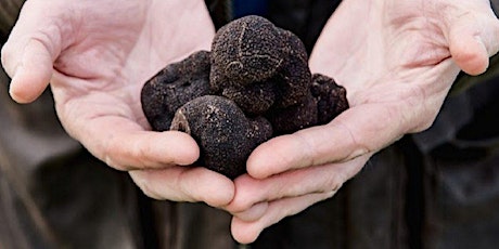 Imagen principal de Introduction to Truffle Growing - Gembrook VIC