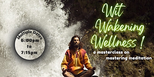 Wit, Wakening, Wellness ! The Introducation to self governed meditation  primärbild