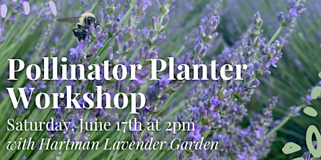 Pollinator Planter Workshop & U-Pick Lavender