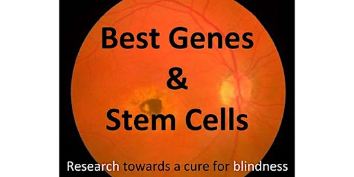 Best Genes and STEM cells. Research towards a cure for blindness
