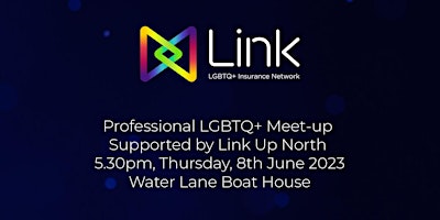 Professional LGBTQ+ Meet-up Supported by Link Up North