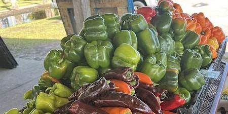 Flagler Beach Farmers Market primary image