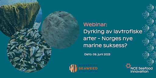 Imagem principal de Dyrking av lavtrofiske arter - Norges nye marine suksess?