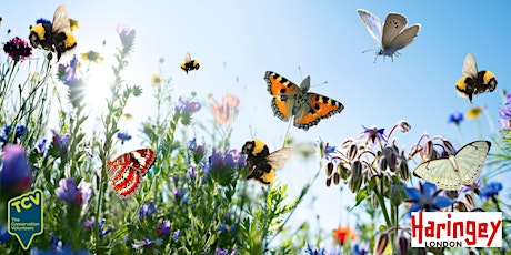 Bumblebee & Butterfly Survey - Finsbury Park