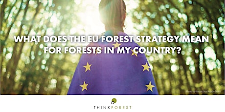 Achieving the EU Forest Strategy goals - what can science tell us?