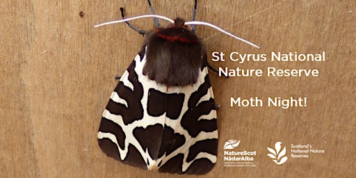 St Cyrus NNR Moth Night primary image