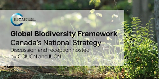 The GBF and Canada’s National Biodiversity Strategy primary image