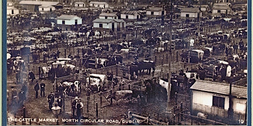 A Brief History of the Dublin Metropolitan Cattle Market: Dr Mary Muldowney primary image