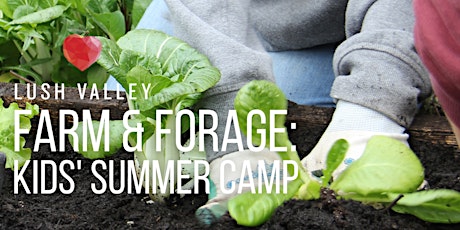 Farm & Forage Summer Camp: Session 1