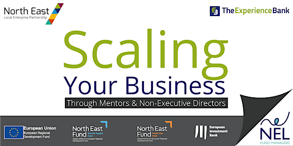Scaling Your Business Through Mentors and Non-Executive Directors