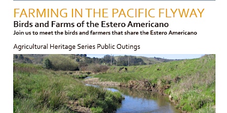 Farming In the Pacific Flyway: Birds and Farms of the Estero Americano