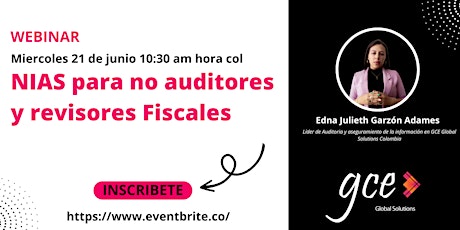 Image principale de Webinar: NIAS para no auditores y revisores fiscales