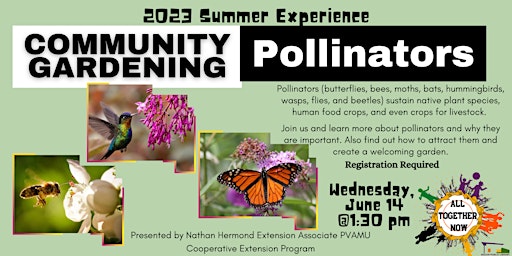 Community Gardening: Pollinators