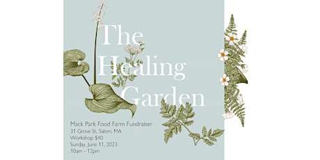 The Healing Garden:   How Common Garden Herbs can Improve our Health