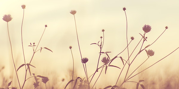 Spring Wind: A Zen Retreat in Madison