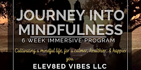 Journey into Mindfulness: a 6 week immersive mindfulness program