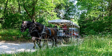 Carriage Ride-Tuesday,  June 13