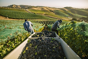 Hauptbild für Taste of Napa