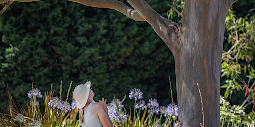 Forest Therapy at Cruden Farm primary image