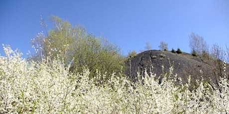 Hauptbild für Escalade musicale gourmande