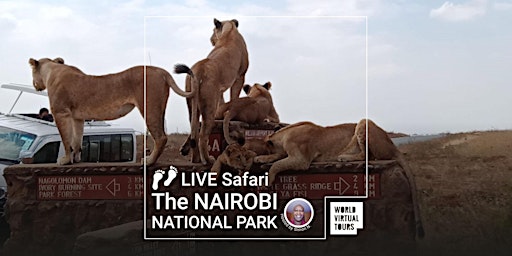 Imagem principal de LIVE Safari: The Nairobi National Park