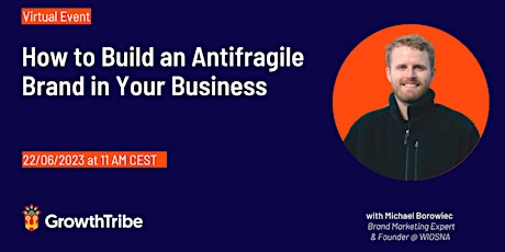 How to Build an Antifragile Brand in Your Business