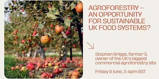Imagem principal de Agroforestry - an opportunity for sustainable UK food systems?