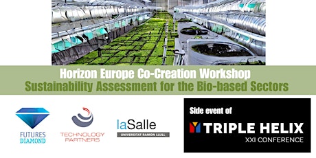 Horizon Europe Co-Creation Workshop: Sustainability for Bio-based Sectors