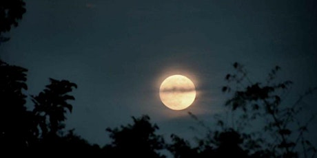 OUTDOOR FULL MOON YOGA AT SPRING CREEK FARM (Pay what you can) primary image