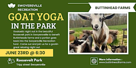 Goat Yoga in the  Park